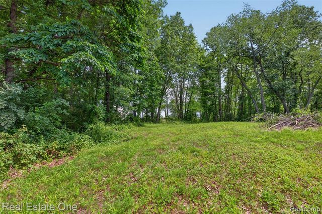 0000 Big Lake, Davisburg, MI 48350