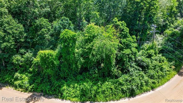 0000 Big Lake, Davisburg, MI 48350