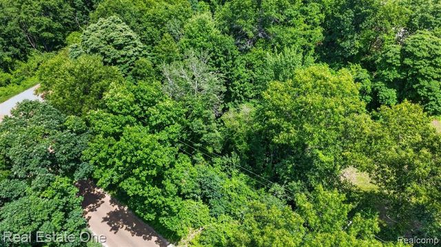 0000 Big Lake, Davisburg, MI 48350