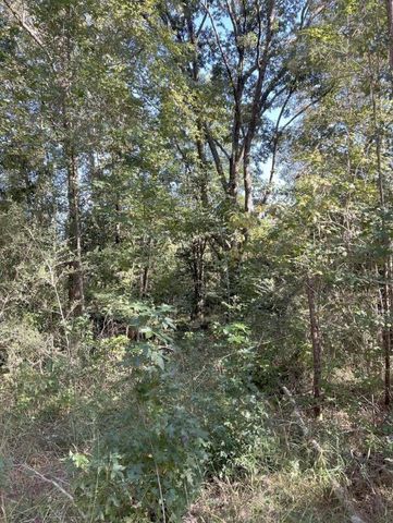 13 Acres Jack Rd, Laurel Hill, FL 32567