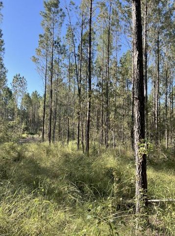 13 Acres Jack Rd, Laurel Hill, FL 32567