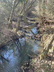 13 Acres Jack Rd, Laurel Hill, FL 32567