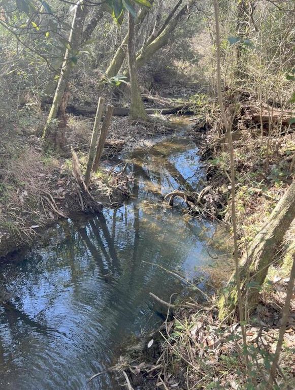 13 Acres Jack Rd, Laurel Hill, FL 32567