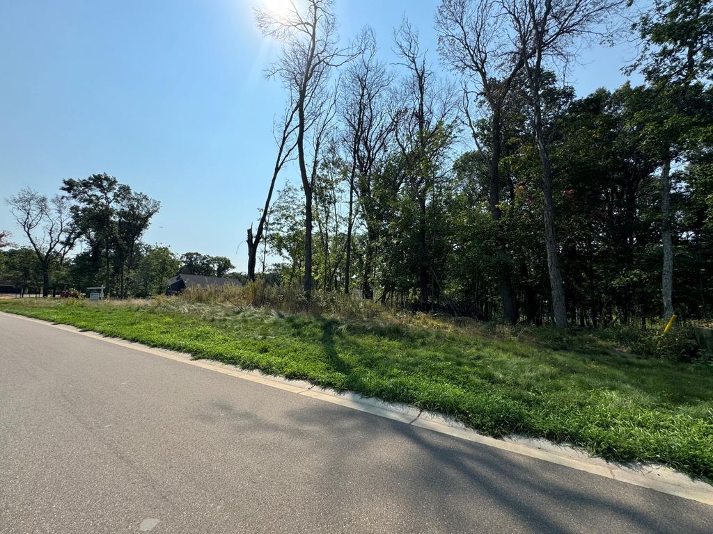 14636 Packard Street NE, Ham Lake, MN 55304 — photo 4