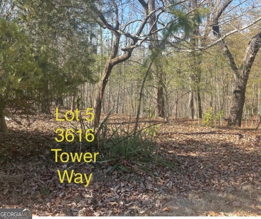 3616 Tower Way, Gainesville, GA 30501