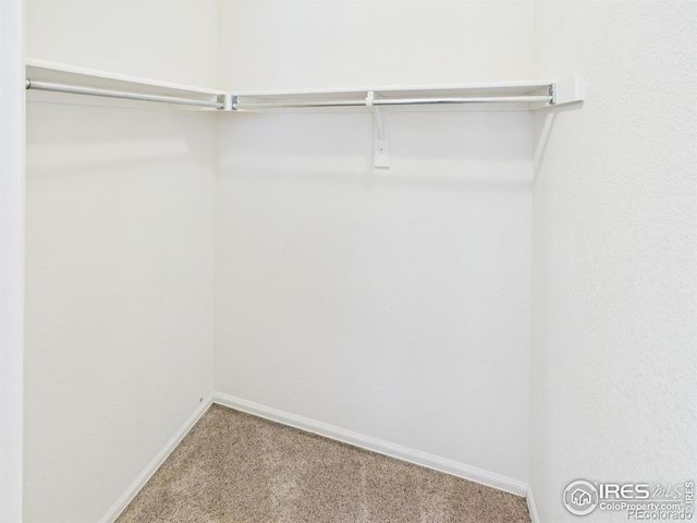 626 Prichett Court, Fort Collins, CO 80525