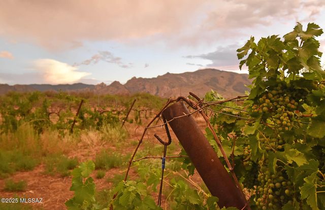 1203 N Cochise Stronghold Road, Cochise, AZ 85606