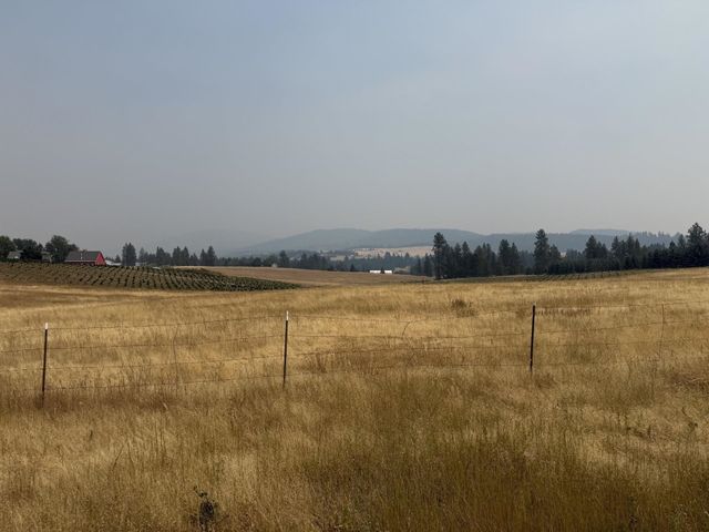 13XXX E Gibbs Rd, Mica, WA 99023 property photo