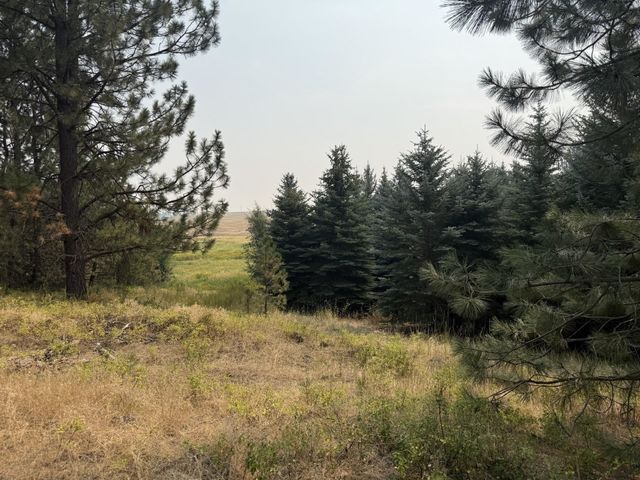 13XXX E Gibbs Rd, Mica, WA 99023