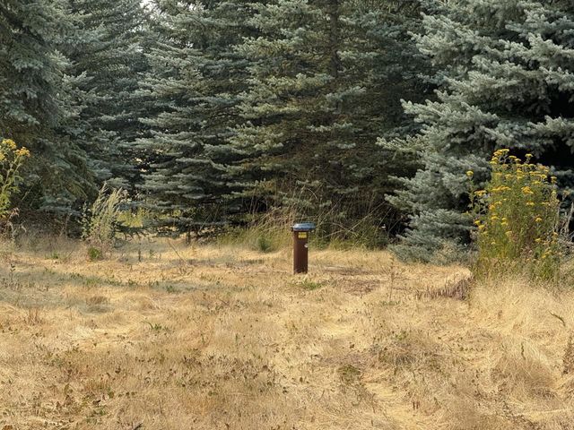 13XXX E Gibbs Rd, Mica, WA 99023