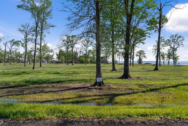 Lot 18 Island View, Livingston, TX 77351