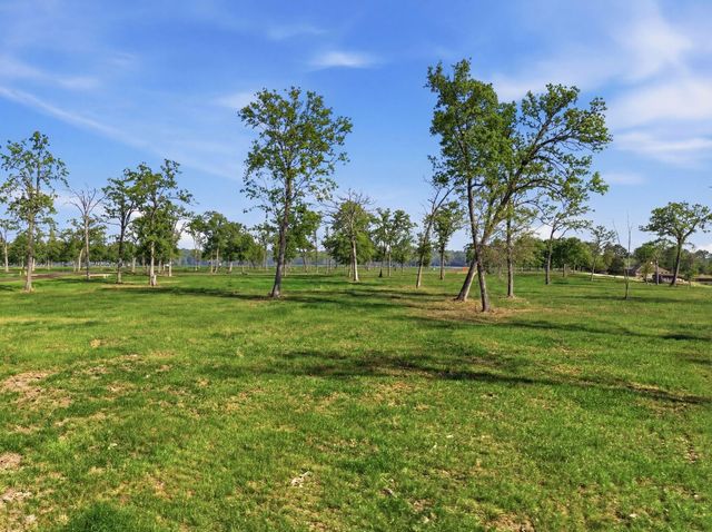 Lot 18 Island View, Livingston, TX 77351
