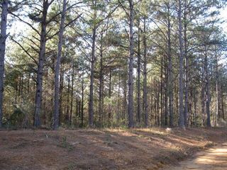 Lot 3 Parkview Drive, Ellisville, MS 39437