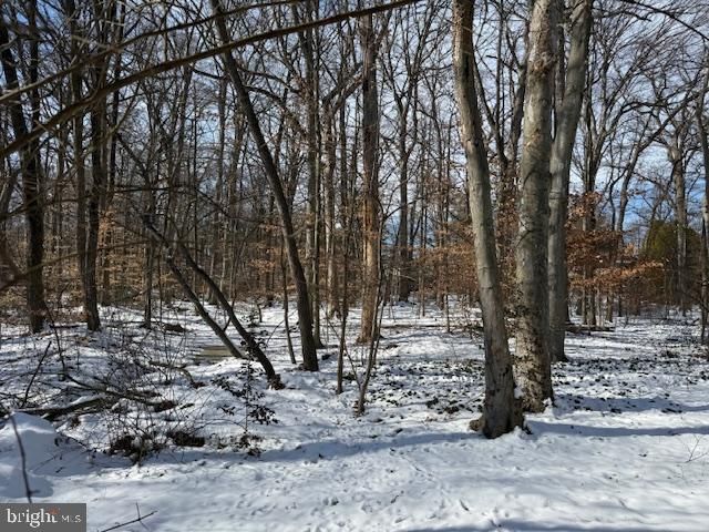 2003 DOGWOOD LN, Wilmington, DE 19810