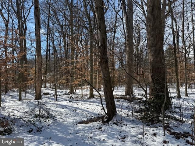 2003 DOGWOOD LN, Wilmington, DE 19810