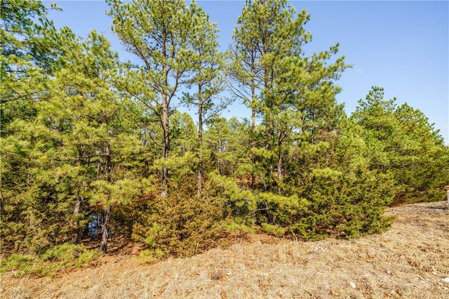 50 Juniper Lane, Eureka Springs, AR 72632