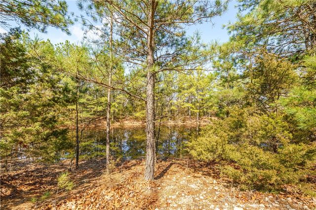 50 Juniper Lane, Eureka Springs, AR 72632