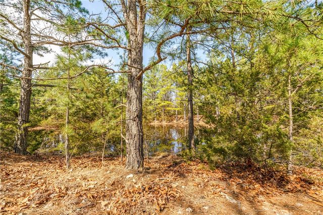 50 Juniper Lane, Eureka Springs, AR 72632