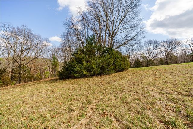 50 Juniper Lane, Eureka Springs, AR 72632