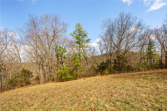 50 Juniper Lane, Eureka Springs, AR 72632