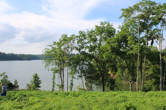 0 Fanning Bend Dr, Winchester, TN 37398