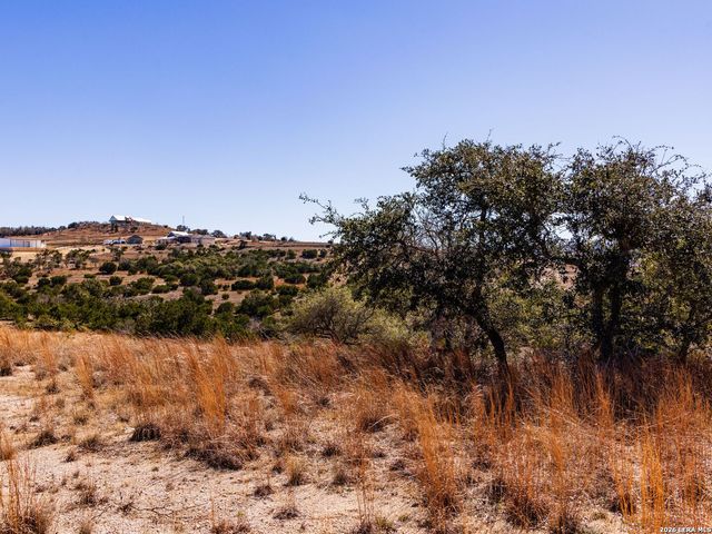 717 N Scenic Hills Court, Blanco, TX 78606