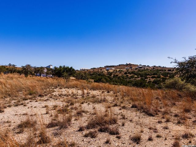 717 N Scenic Hills Court, Blanco, TX 78606