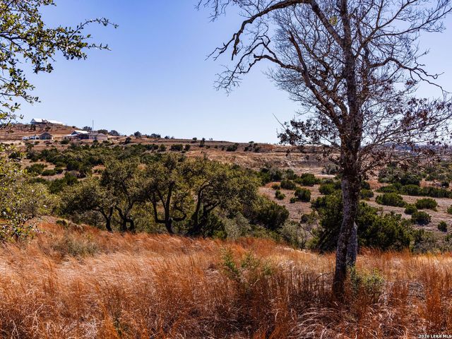 717 N Scenic Hills Court, Blanco, TX 78606