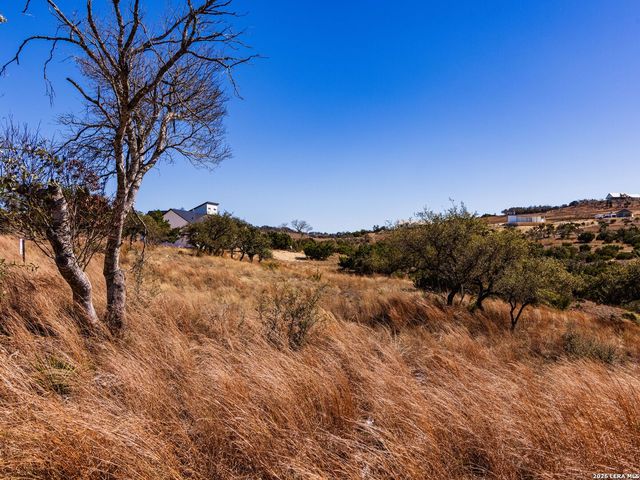 717 N Scenic Hills Court, Blanco, TX 78606