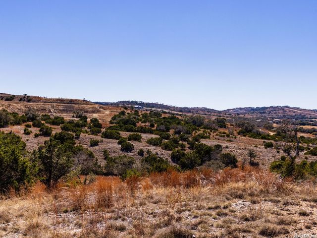 717 N Scenic Hills Court, Blanco, TX 78606