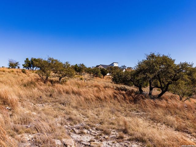 717 N Scenic Hills Court, Blanco, TX 78606