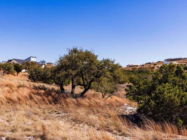 717 N Scenic Hills Court, Blanco, TX 78606