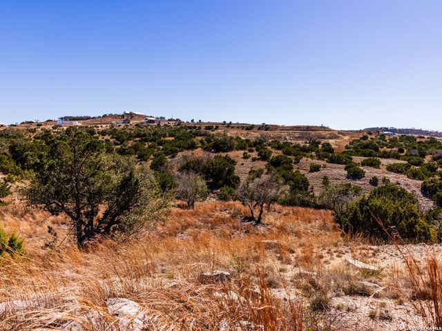 717 N Scenic Hills Court, Blanco, TX 78606
