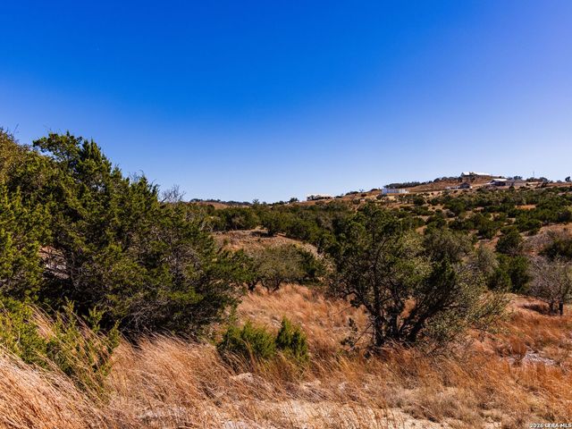 717 N Scenic Hills Court, Blanco, TX 78606