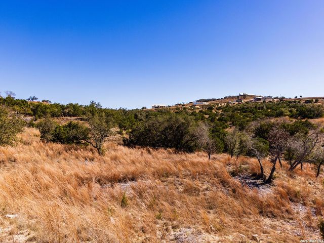 717 N Scenic Hills Court, Blanco, TX 78606