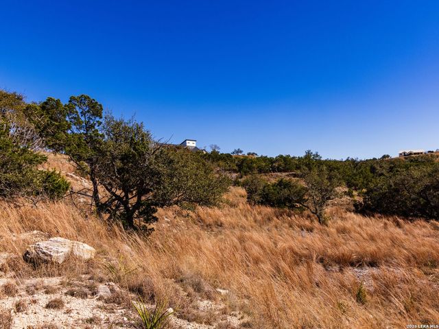 717 N Scenic Hills Court, Blanco, TX 78606