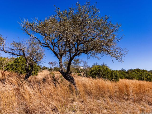 717 N Scenic Hills Court, Blanco, TX 78606