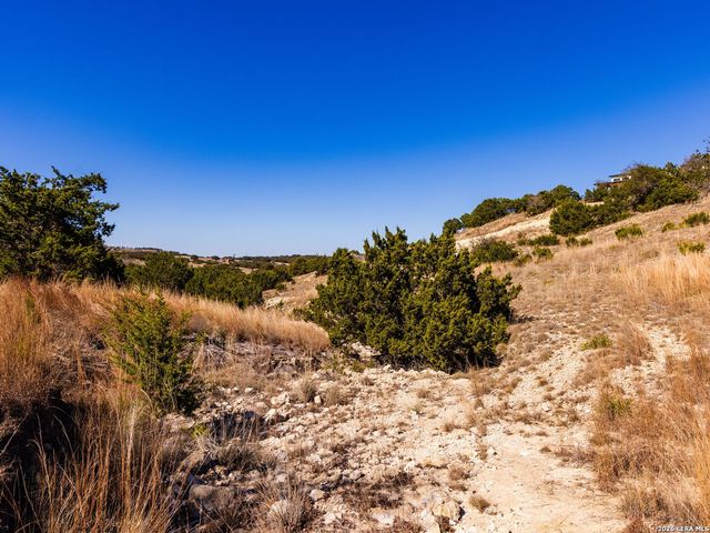 717 N Scenic Hills Court, Blanco, TX 78606