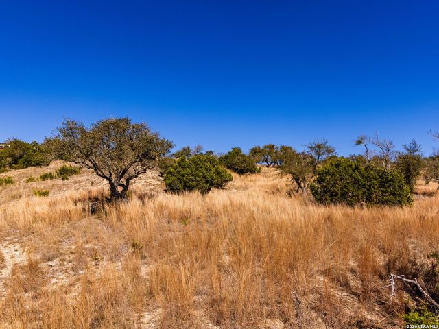717 N Scenic Hills Court, Blanco, TX 78606