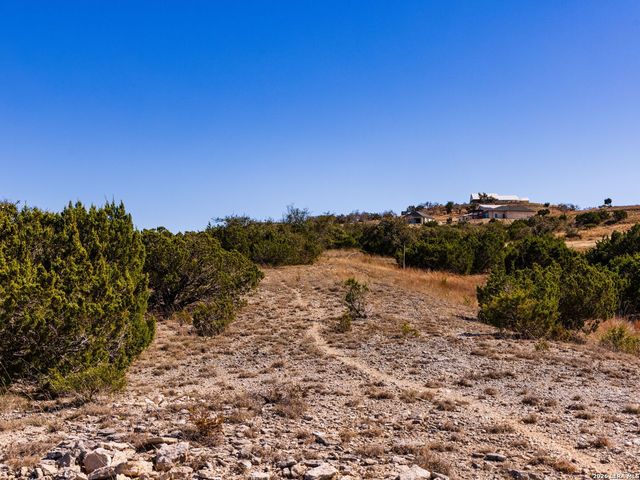 717 N Scenic Hills Court, Blanco, TX 78606