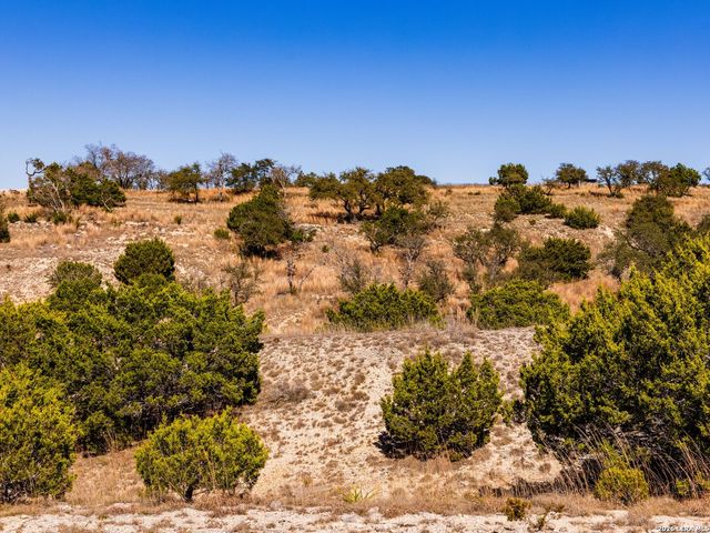 717 N Scenic Hills Court, Blanco, TX 78606