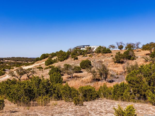 717 N Scenic Hills Court, Blanco, TX 78606
