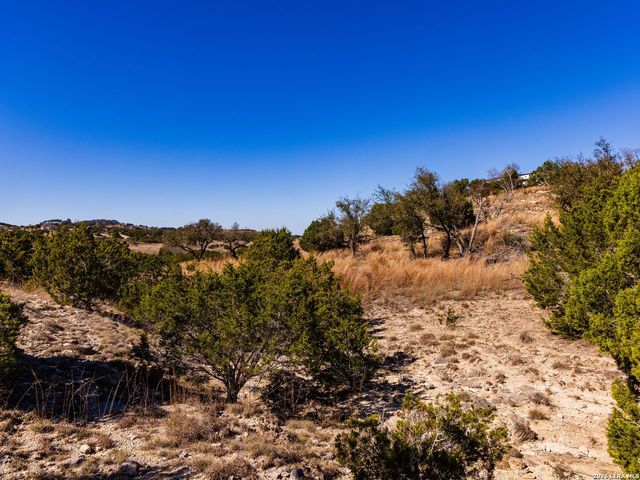 717 N Scenic Hills Court, Blanco, TX 78606