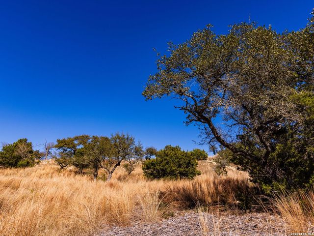 717 N Scenic Hills Court, Blanco, TX 78606