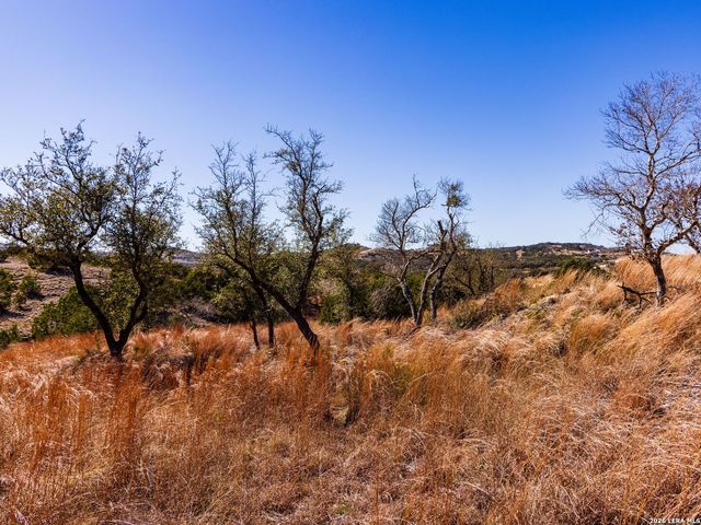 717 N Scenic Hills Court, Blanco, TX 78606