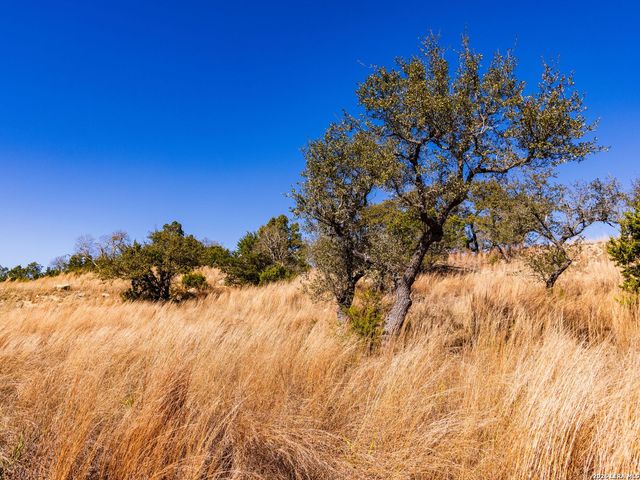 717 N Scenic Hills Court, Blanco, TX 78606