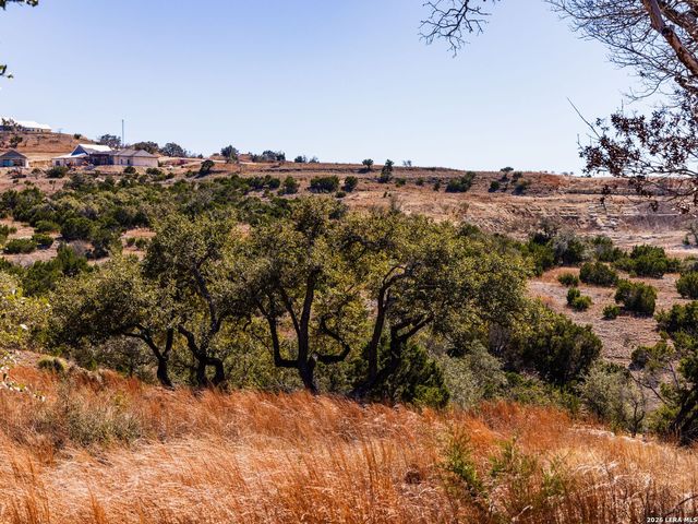 717 N Scenic Hills Court, Blanco, TX 78606