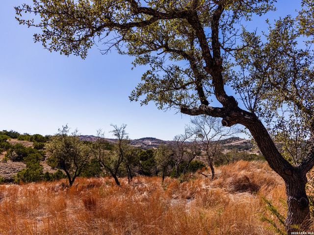 717 N Scenic Hills Court, Blanco, TX 78606