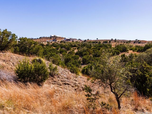 717 N Scenic Hills Court, Blanco, TX 78606