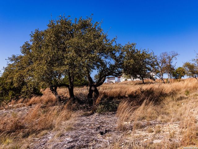 717 N Scenic Hills Court, Blanco, TX 78606